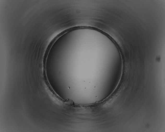 X0000093560980200710221419
