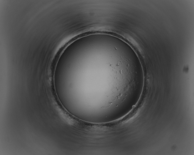 X0000093560981200710221419