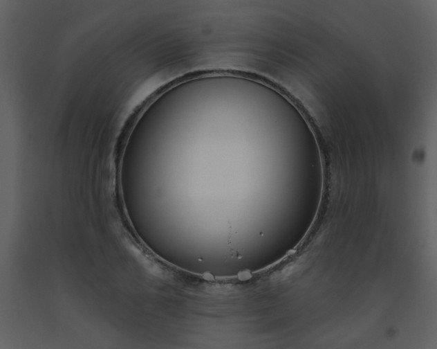 X0000093560982200710221419