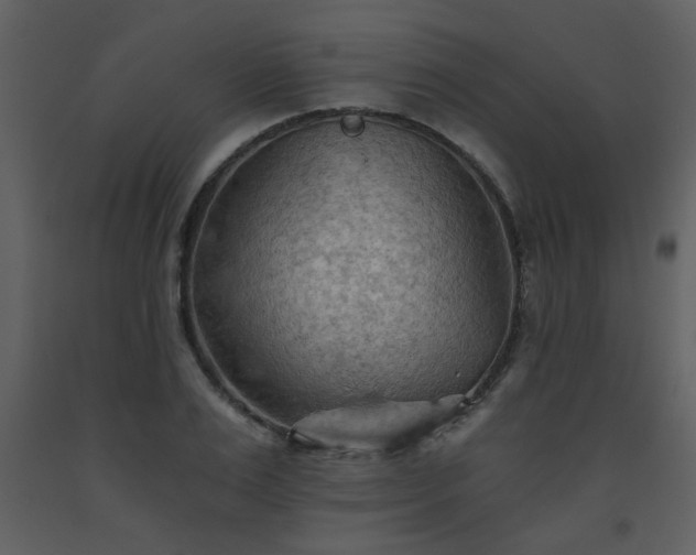 X0000093560983200710221419