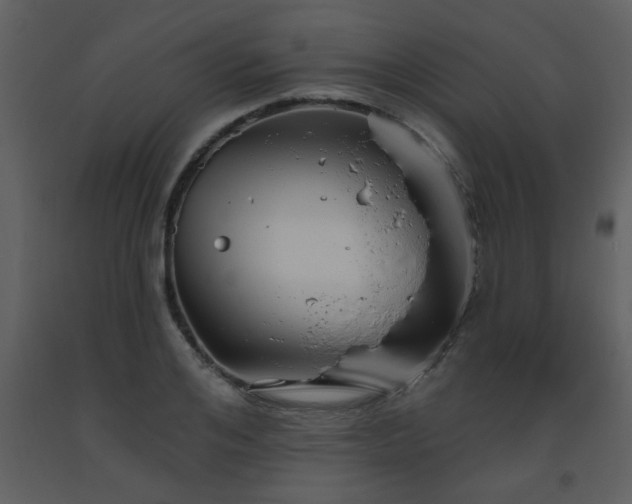 X0000093560984200710221419
