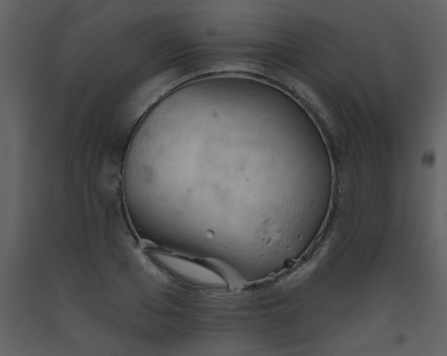 X0000093560985200710221419