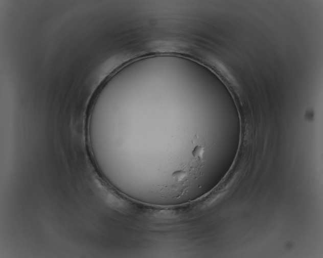 X0000093560986200710221419