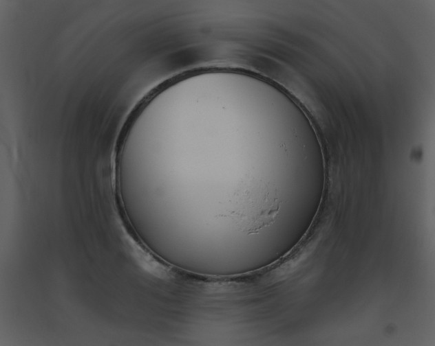 X0000093560988200710221419