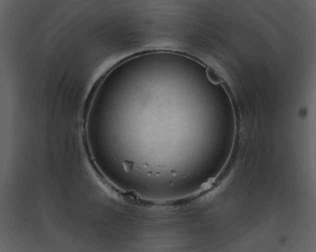 X0000093560989200710221419
