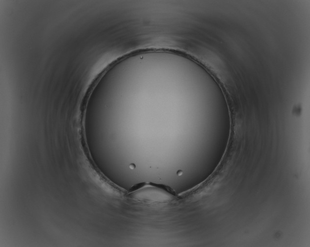 X0000093560990200710221419