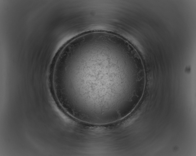 X0000093560991200710221419