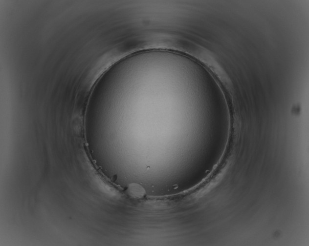 X0000093560993200710221419