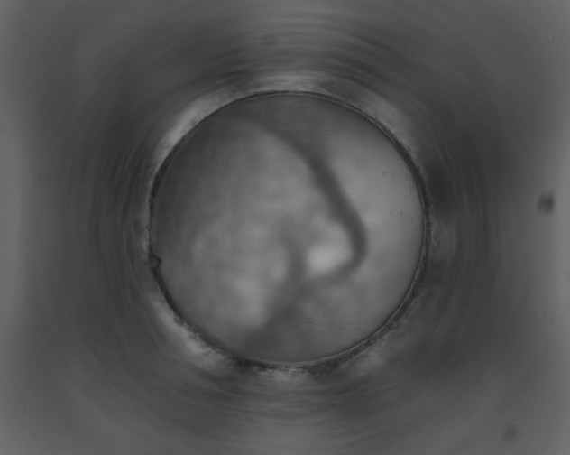 X0000093560994200710221419