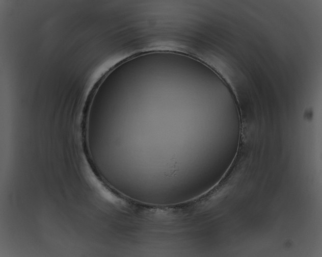 X0000093560995200710221419