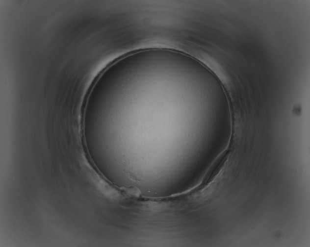 X0000093560996200710221419