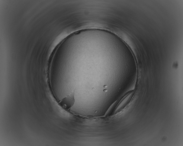 X0000093560997200710221419