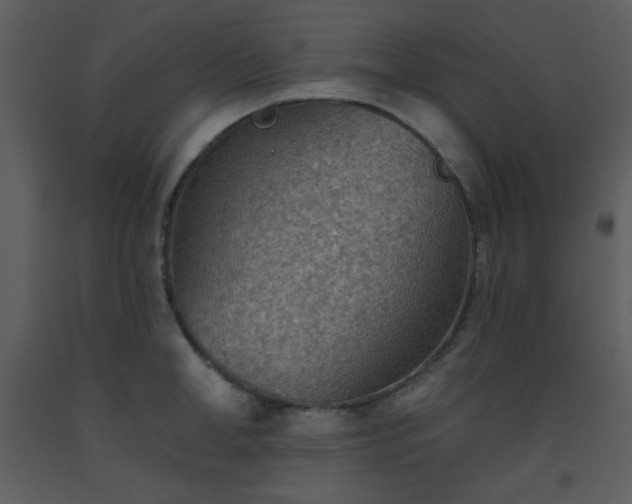X0000093560998200710221419