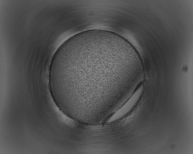 X0000093560999200710221419