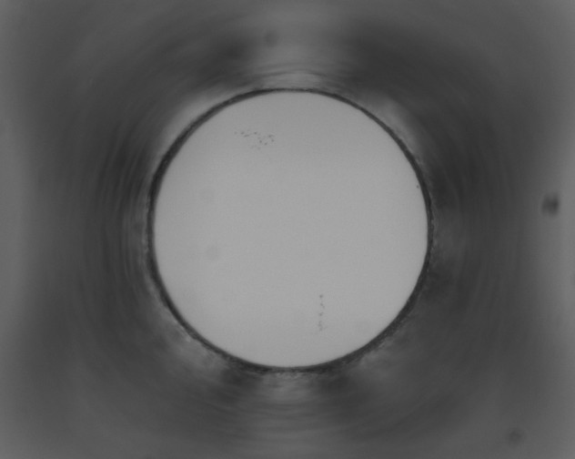 X0000093561000200710221419