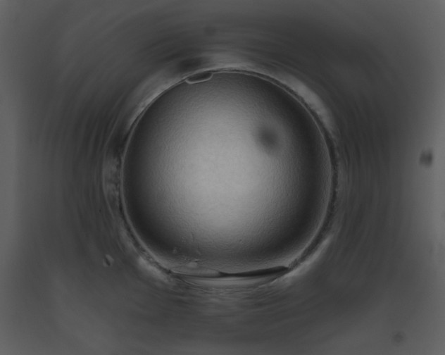 X0000093561001200710221419