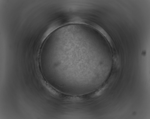 X0000093561002200710221419