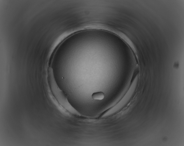 X0000093561005200710221419