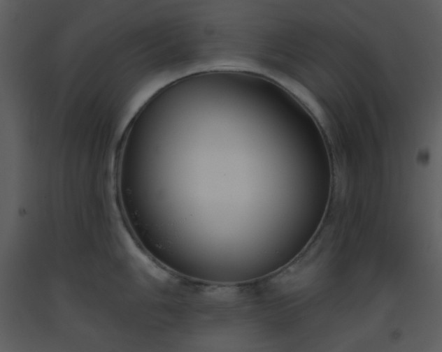 X0000093561006200710221419