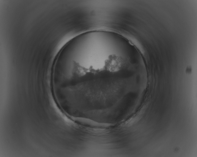 X0000093561007200710221419