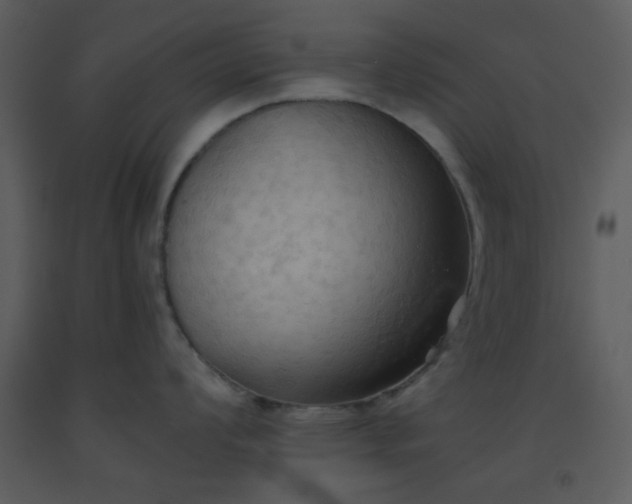 X0000093561008200710221419