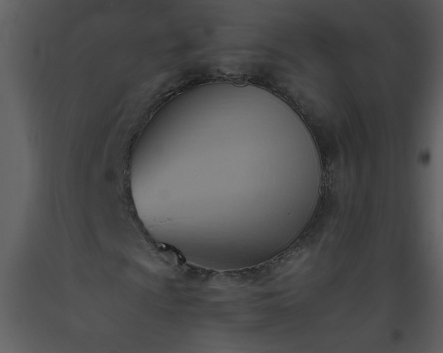 X0000093561009200710221418