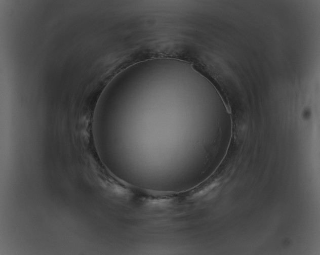 X0000093561010200710221418