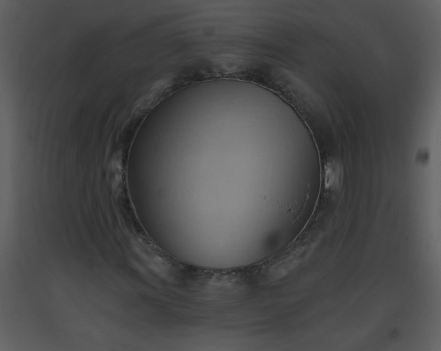 X0000093561011200710221418