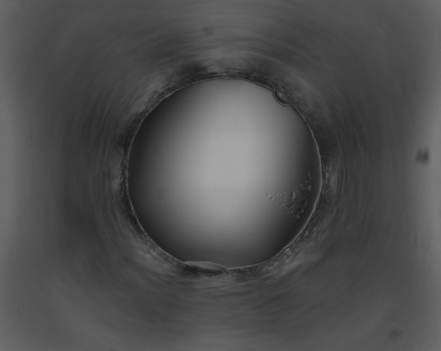 X0000093561012200710221418