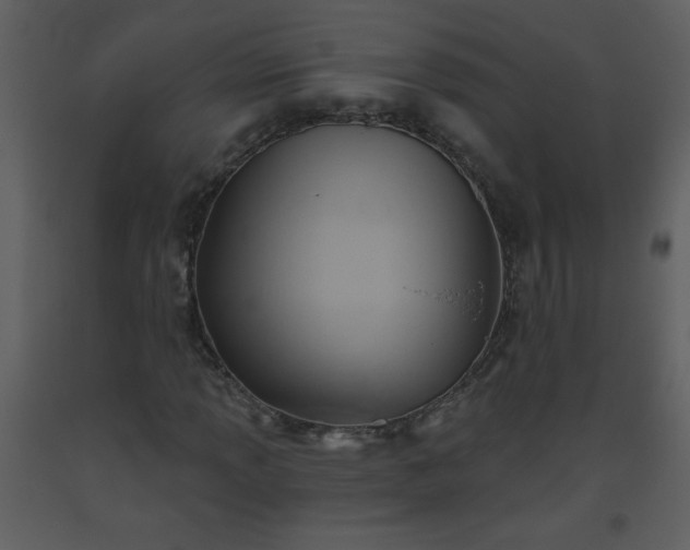 X0000093561013200710221418