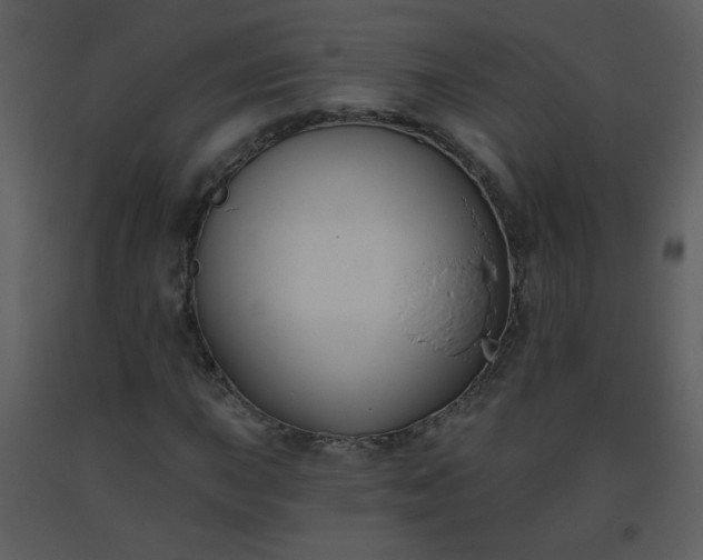 X0000093561015200710221418