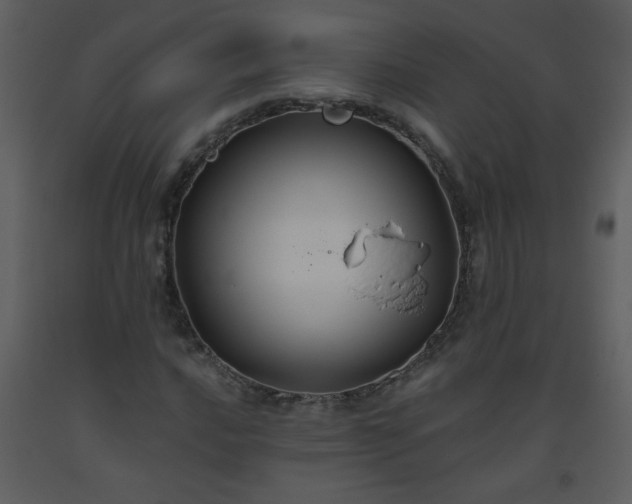 X0000093561016200710221418