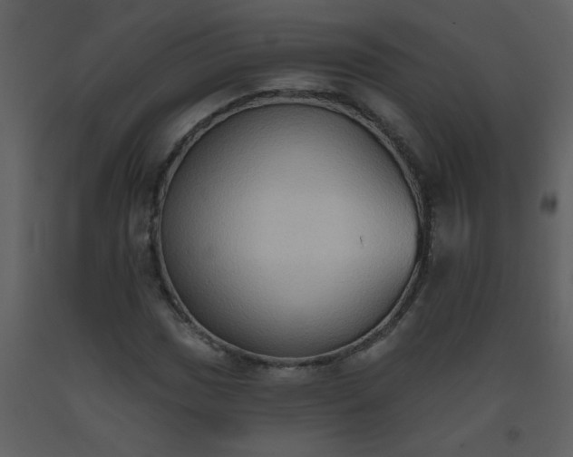 X0000093561017200710221418
