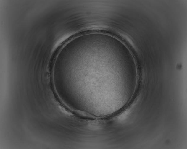 X0000093561018200710221418