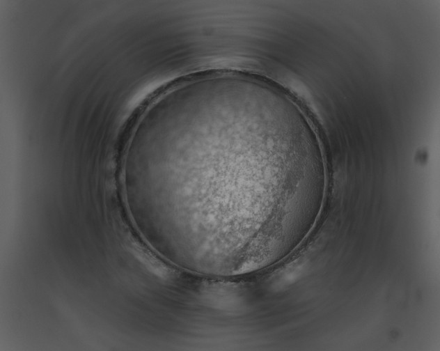 X0000093561019200710221418