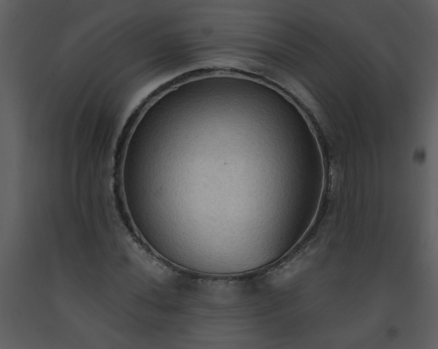 X0000093561020200710221418