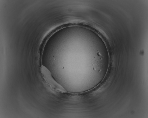 X0000093561021200710221418