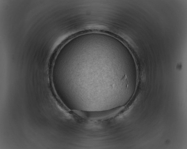 X0000093561022200710221418