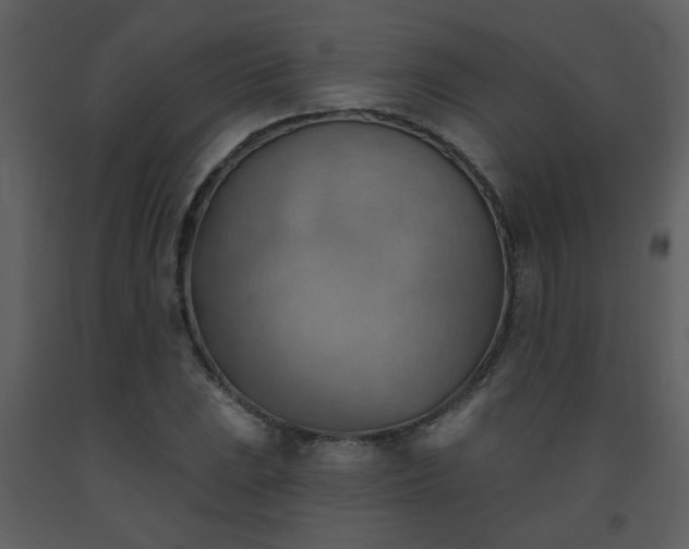 X0000093561023200710221418