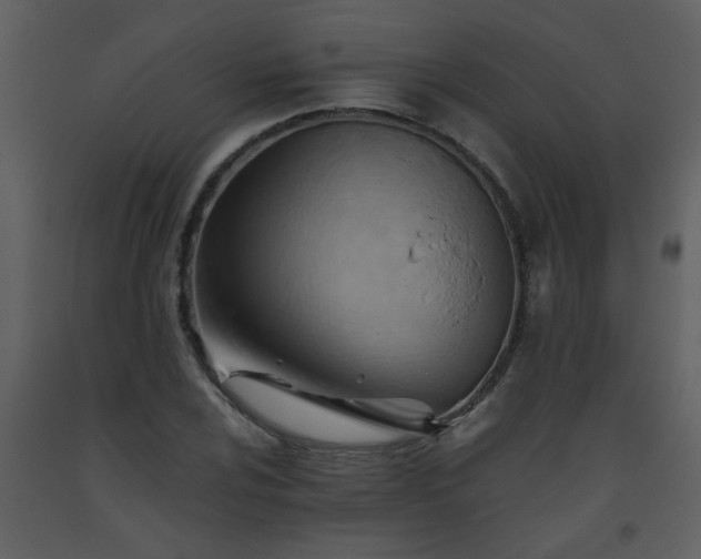 X0000093561024200710221418