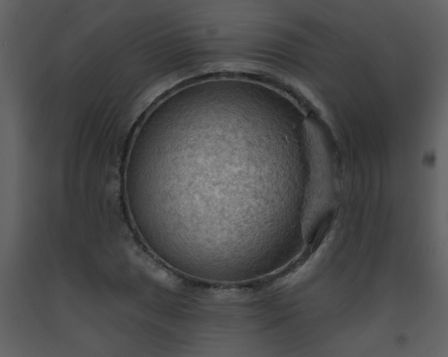 X0000093561025200710221418