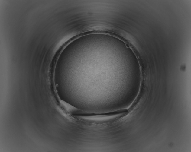 X0000093561026200710221418