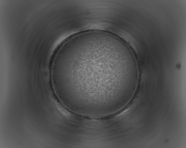 X0000093561027200710221418