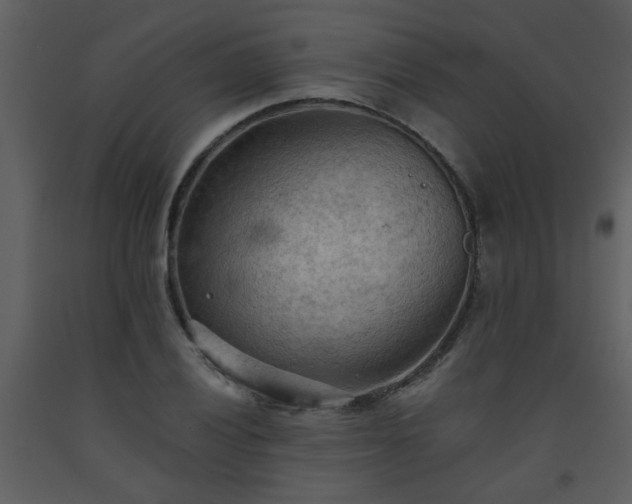 X0000093561028200710221418
