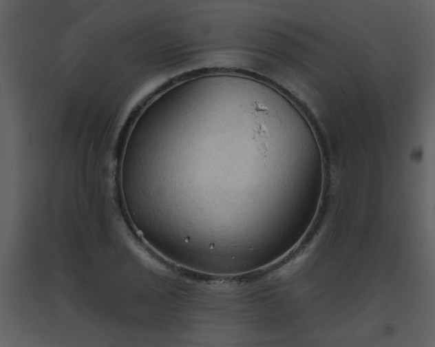 X0000093561029200710221418