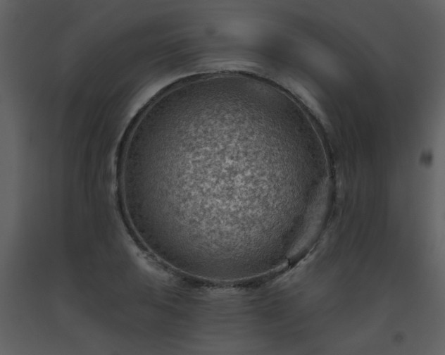 X0000093561031200710221418