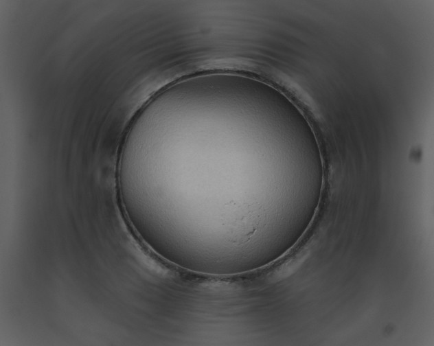 X0000093561033200710221418
