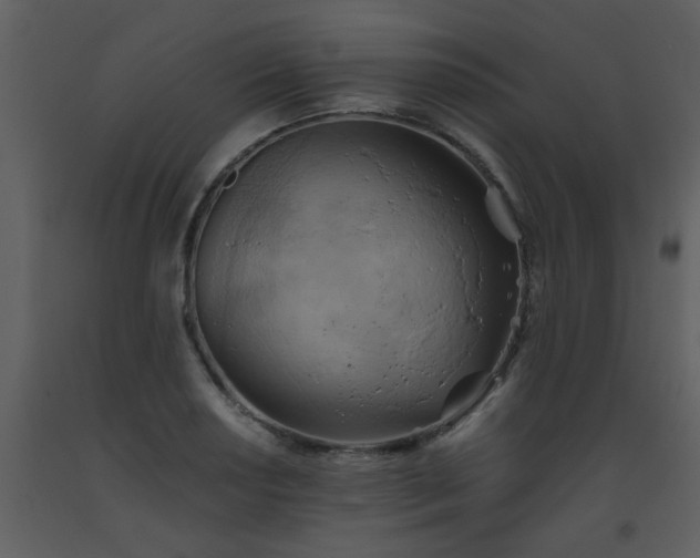 X0000093561034200710221418