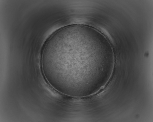 X0000093561035200710221418