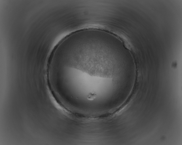 X0000093561038200710221418